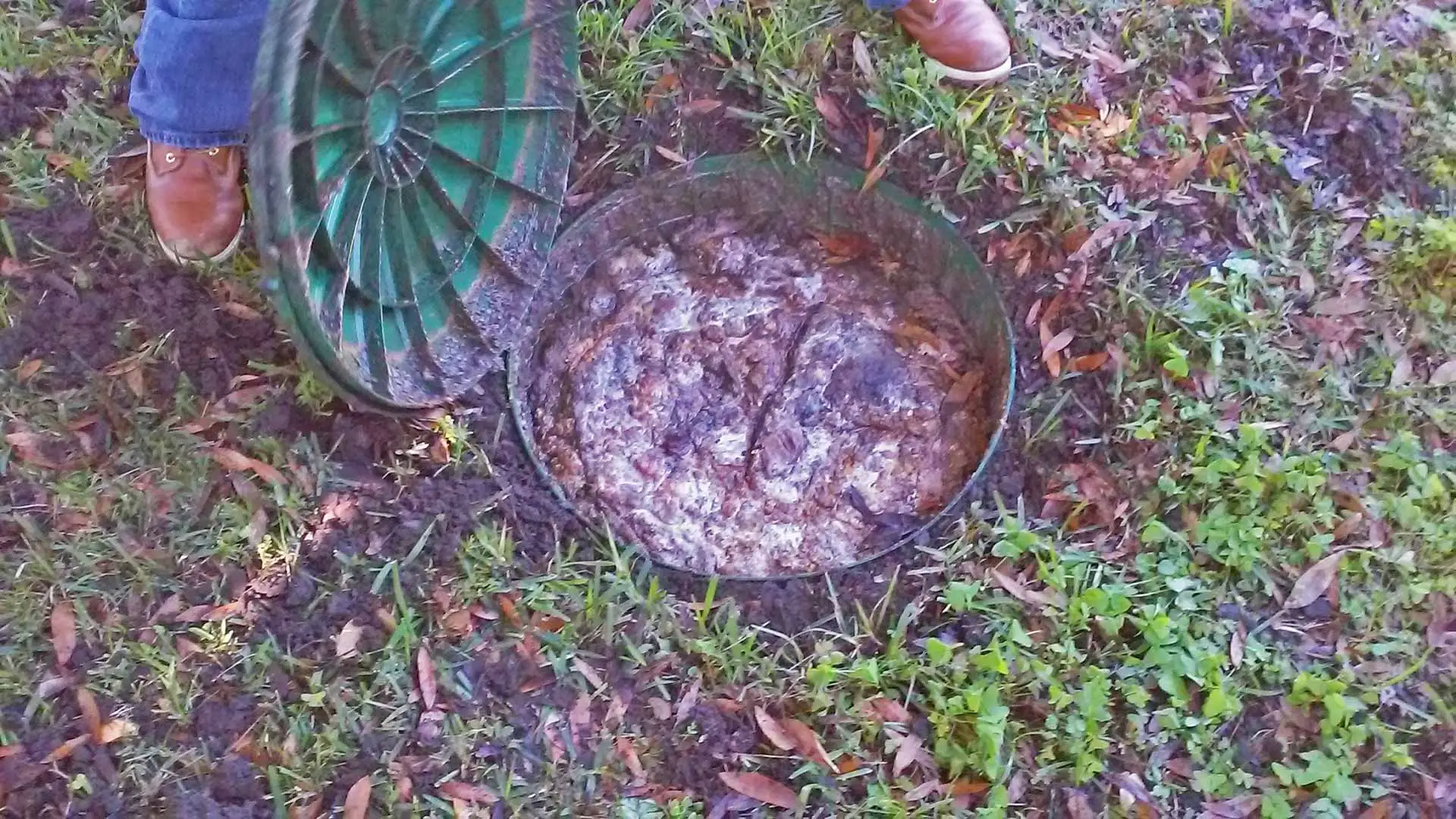 Wesley Chapel, Pasco County, FL
