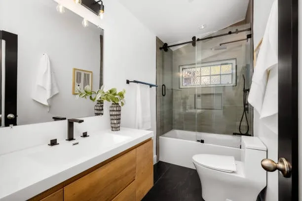 Bathroom Remodel: Walk-In Shower, Bathtub, or Both?