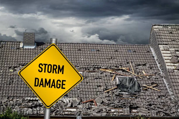 Disaster Strikes! Preparing for a Hurricane in Florida