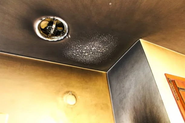 Everything You Need to Know About Fire Alarms