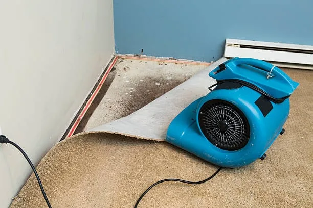 Should You Replace or Repair Water Damaged Floors?