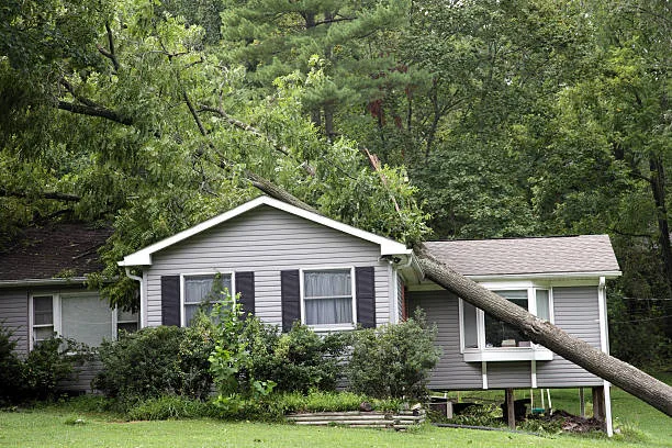 Storm damage repair by True Builders in Central Florida