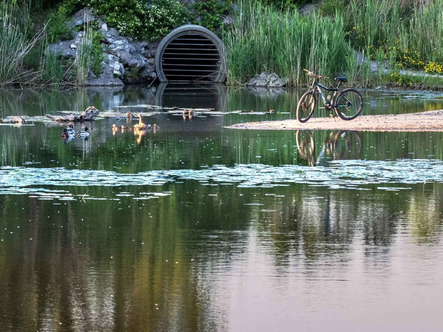 Large concrete storm drain discharging into a calm body of water, illustrating stormwater management and flood prevention.